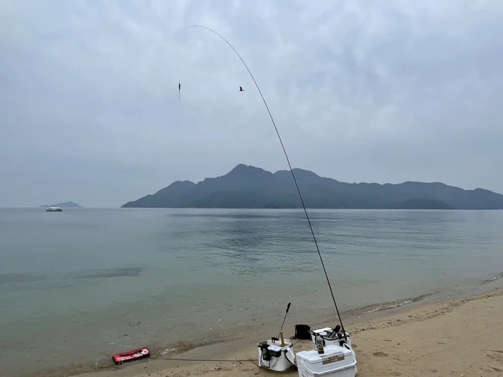 松田 海里