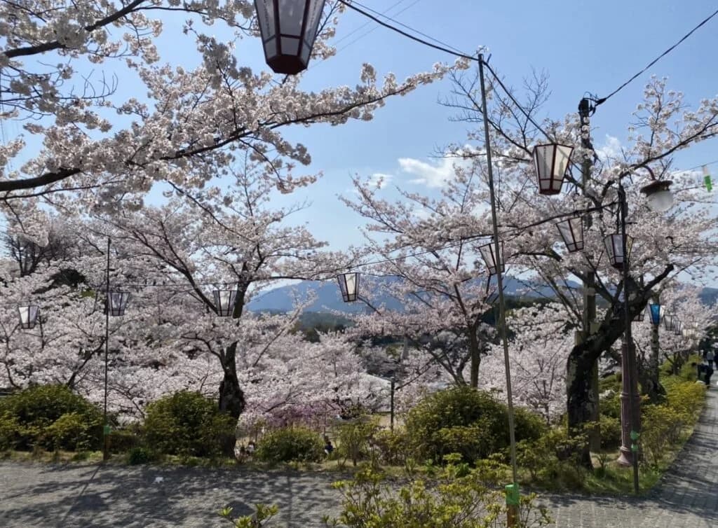 平岡 菜々美